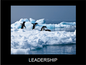 leadership